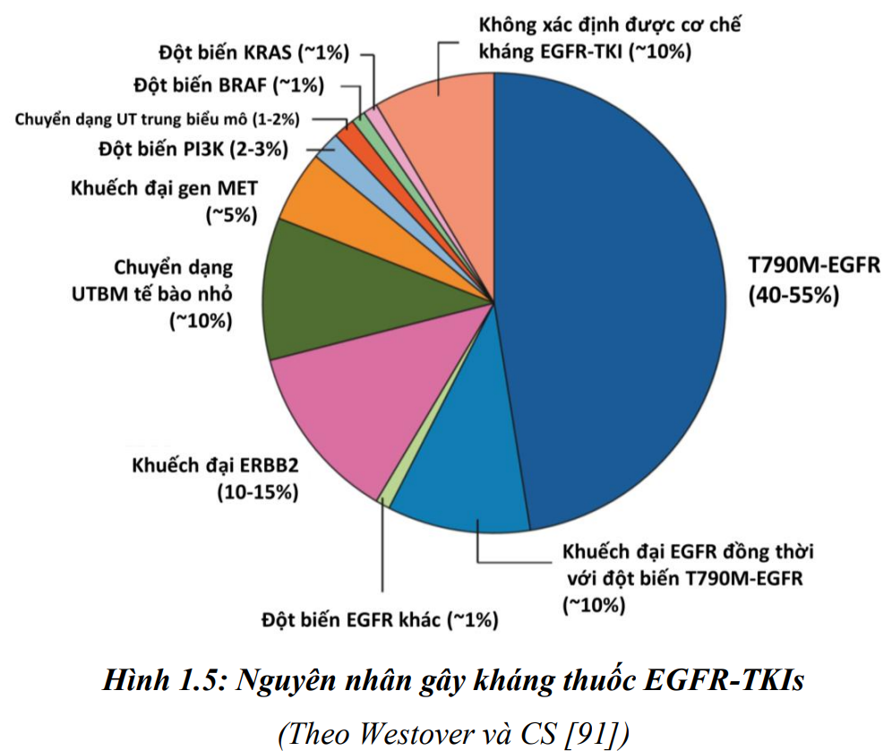 XÉT NGHIỆM ĐỘT BIẾN EGFR, T790M TRONG MÁU DỰ BÁO HIỆU QUẢ OSIMERTINIB