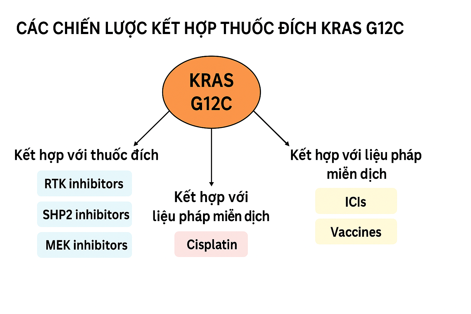 Chiến lược kết hợp thuốc đích trong điều trị ung thư phổi đột biến KRAS G12C