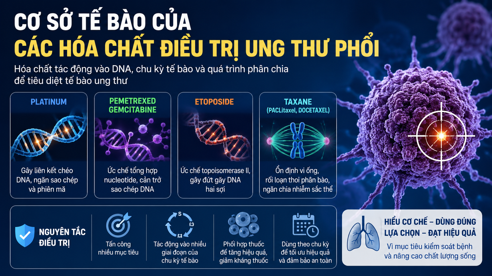 Cơ sở tế bào của hóa chất điều trị ung thư phổi
