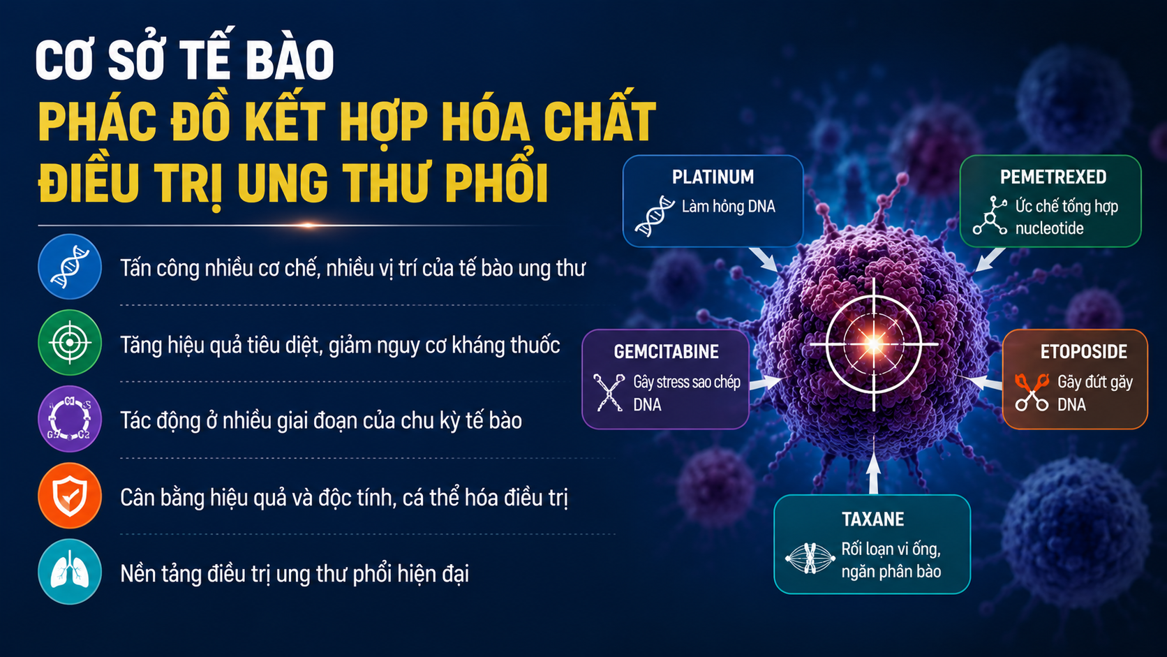 Cơ sở của các phác đồ kết hợp hóa chất trong ung thư phổi